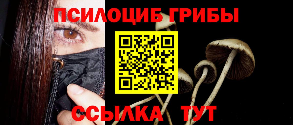Галлюциногенные грибы Magic Shrooms  Галлюциногенные грибы Psilocybine cubensis  Вход с VPN  Крымск 