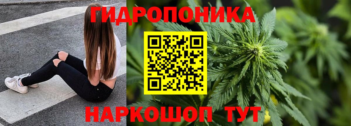 Шишки марихуана Bruce Banner Крымск